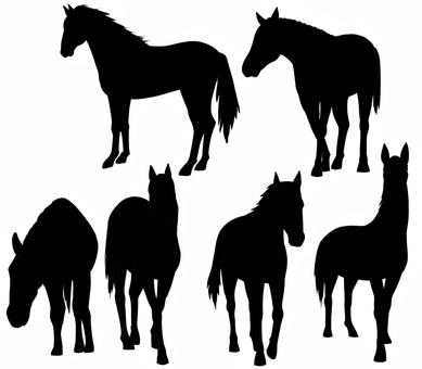 馬シルエット立ち姿セット　④ 馬,シルエット,動物,立つ,横,正面,６種,午のイラスト素材