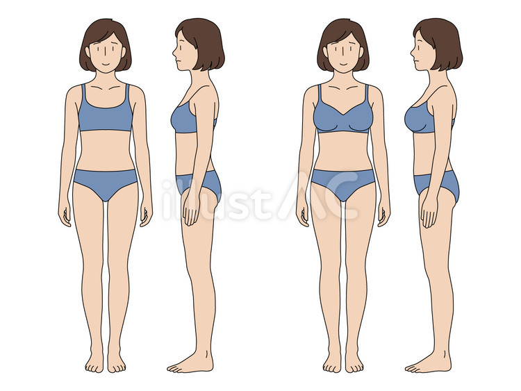 乳房サイズによる体型の違い 女性,全身,サイズのイラスト素材