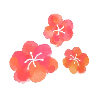 お正月素材　梅の花のイラスト 梅,梅の花,正月,お正月,年賀状,新春,迎春,和風,和,花のイラスト素材