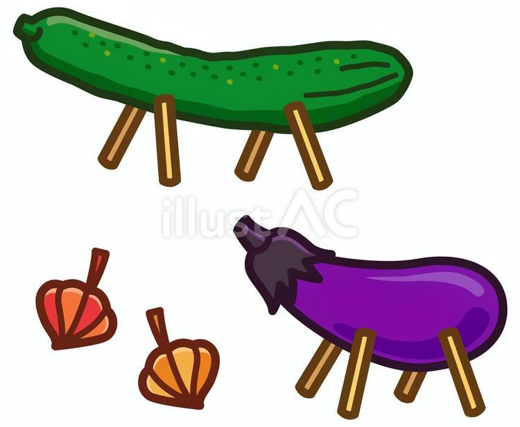 精霊馬と精霊牛と鬼灯 精霊馬,精霊牛,ほおずきのイラスト素材
