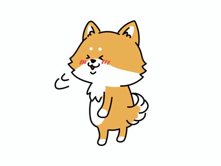 テヘ顔で振り返る柴犬さん 振り返る,振り向く,笑顔,柴犬,しばいぬ,シバイヌ,犬,いぬ,イヌ,和犬のイラスト素材