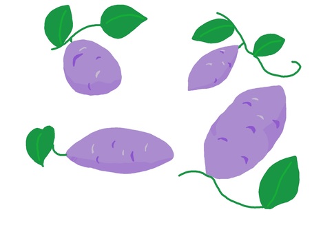 芋づる付きさつまいもセット さつまいも,芋づる,芋ほり,秋,食べ物,収穫,いも,つる,さつま芋,食材のイラスト素材