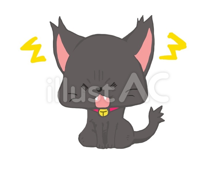 おこる黒猫 黒猫,ネコ,ペットのイラスト素材