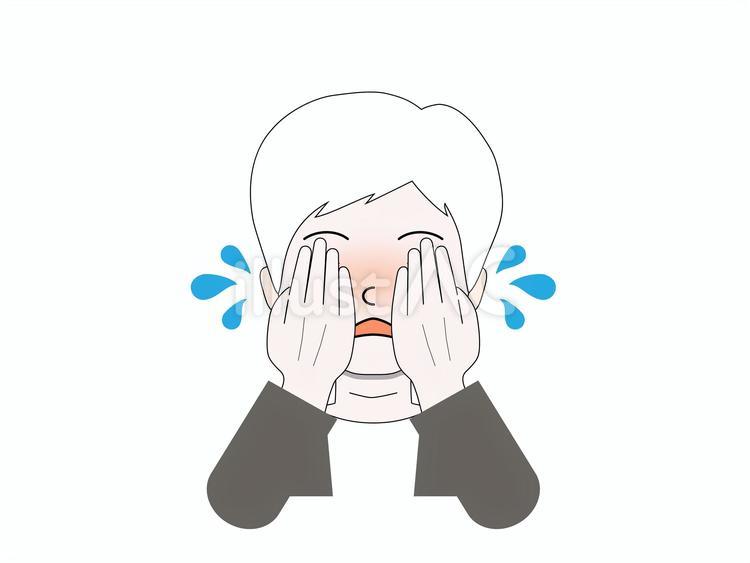 焦って赤面して顔をかくす白髪女性 女性,高齢,大人のイラスト素材