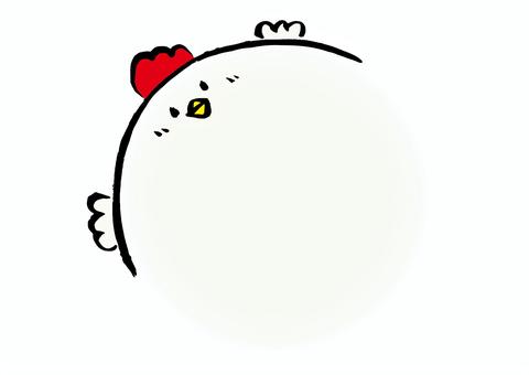 鶏の精肉動物の円形フレーム カラー 鶏,にわとり,フレーム,鶏肉,肉,精肉,枠,円,カラー,動物のイラスト素材