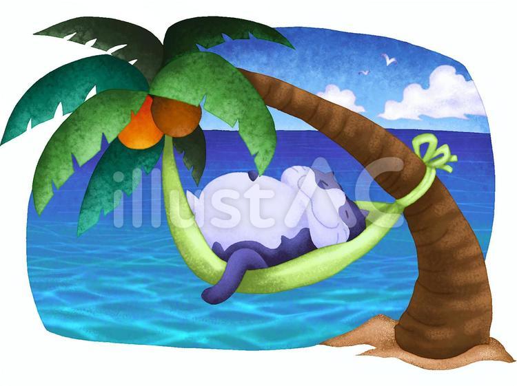 タマのお休み 動物,猫,海のイラスト素材