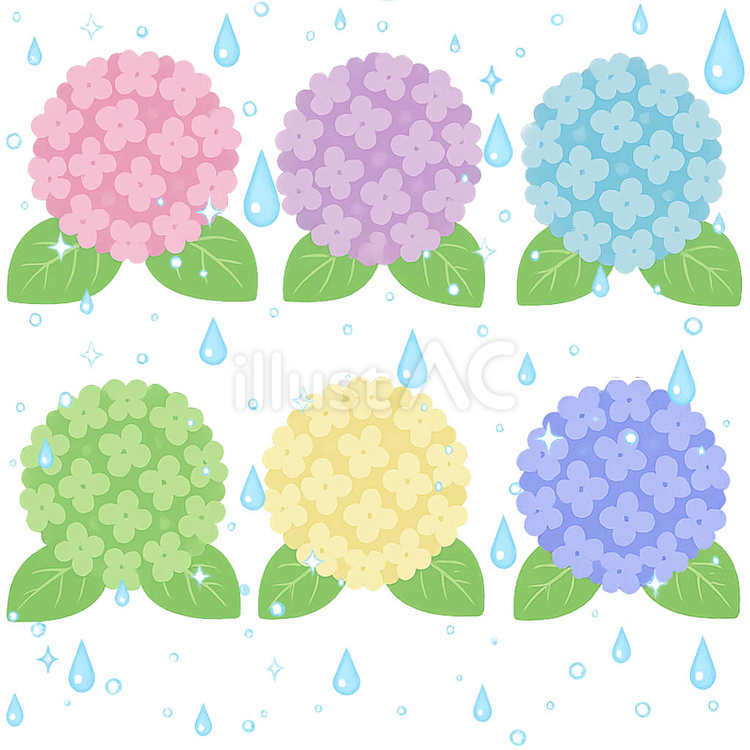 6月のキラキラ紫陽花セット あじさい,アジサイ,紫陽花のイラスト素材