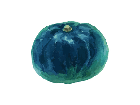 水彩のリアルでシンプルなカボチャ かぼちゃ,カボチャ,野菜,秋,食べ物,水彩,水彩絵の具,手描き,手書き,白背景のイラスト素材