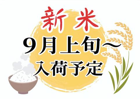 新米入荷予定のお知らせ　9月上旬～ 新米,入荷予定,お知らせ,9月,上旬,貼り紙,pop,ポップ,チラシ,文字のイラスト素材