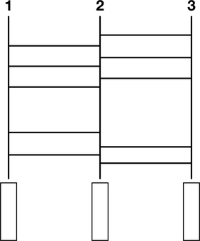 あみだくじb あみだくじ,ゲーム,パーティ,遊び,イベント,阿弥陀籤,抽選,運,大会,当たりのイラスト素材