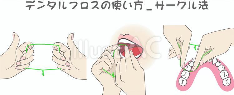Free Vectors | How to use dental floss_Circle method