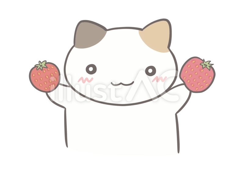 いちごを比べる見せる いちご,選ぶ,比較のイラスト素材