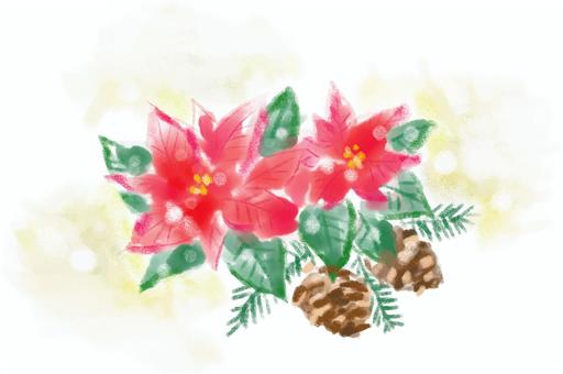 水彩のポインセチア ポインセチア,水彩,花,まつぼっくり,秋,冬,クリスマス,１１月,１２月,１月のイラスト素材