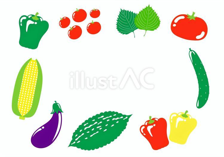 夏野菜のフレーム 野菜,夏,果実のイラスト素材