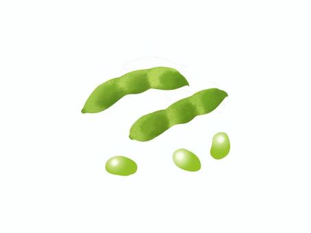 枝豆 枝豆,夏野菜,6月,7月,8月,9月,野菜,豆,緑,うぶ毛のイラスト素材