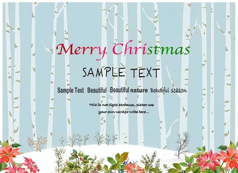 冬 ポインセチア,冬セール,フレームのイラスト素材