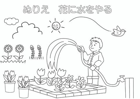 塗り絵・花壇の花に水をやる人 塗り絵,ぬりえ,花,植物,水,水まき,チュウリップ,タンポポ,花壇,土のイラスト素材