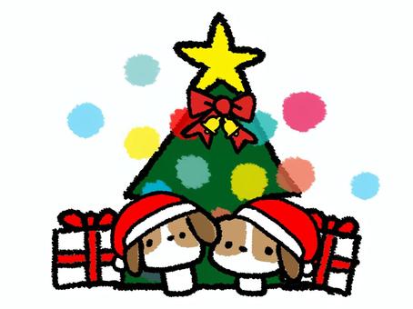 ビーグル犬　クリスマス ビーグル犬,クリスマス,プレゼント,ツリー,pop調,手描きのイラスト素材