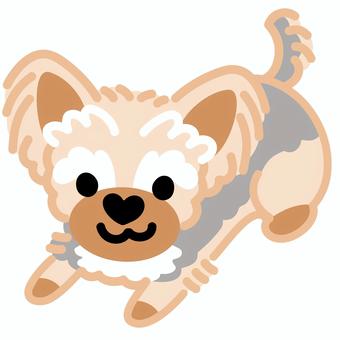 ハート鼻のヨークシャーテリア（ふせ）6 ヨークシャーテリア,犬,動物,ハート,鼻,ふせ,シンプル,かわいい,キュート,デフォルメのイラスト素材