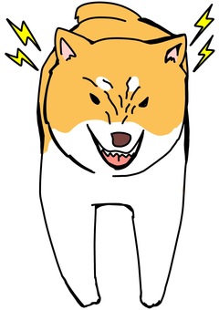 怒る日本犬正面　カラー 犬,威嚇,怒る,正面,カラーのイラスト素材