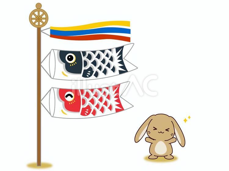 鯉のぼりを喜ぶたれ耳うさぎさん 鯉のぼり,うさぎ,ロップイヤーのイラスト素材