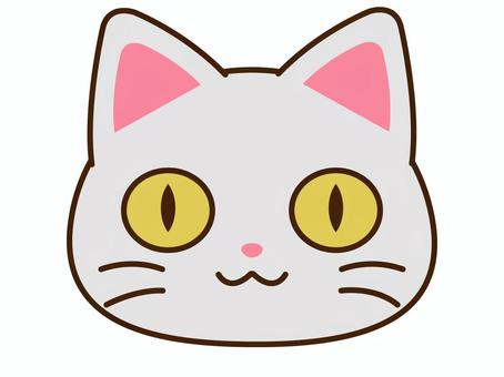 Illustration, white, cat, face, 