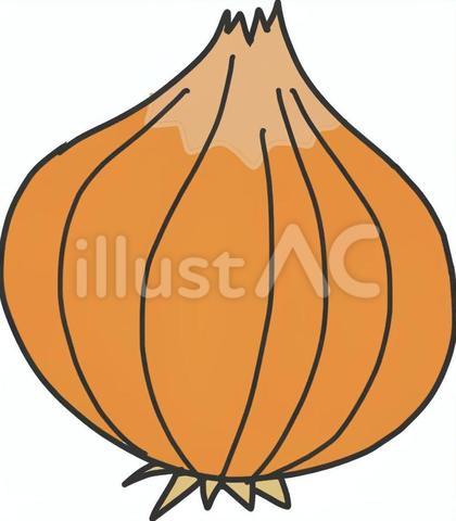 玉ねぎの手描き風イラスト