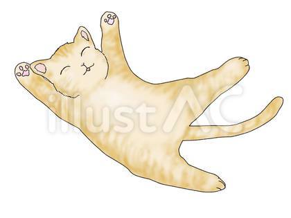 舌を出したまま寝てる猫