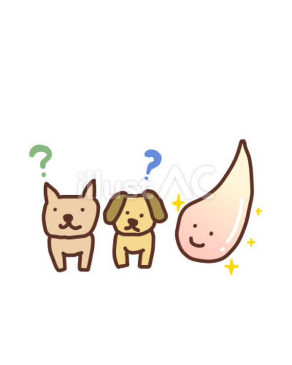 キラキラした魂と出会うがハテナが浮かぶ 犬,魂,ハテナマークのイラスト素材