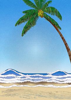 Sea wave palm tree sandy beach beach, , JPG