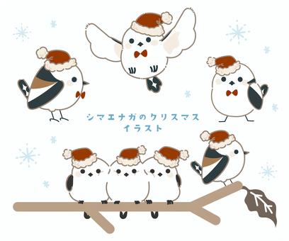 サンタ帽子のシマエナガイラスト 主線あり クリスマス,シマエナガ,12月,鳥,動物,小鳥,サンタ帽,冬,季節,北欧のイラスト素材