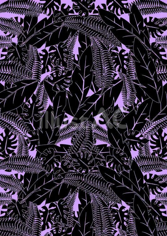 南国　 南国,植物,葉っぱのイラスト素材