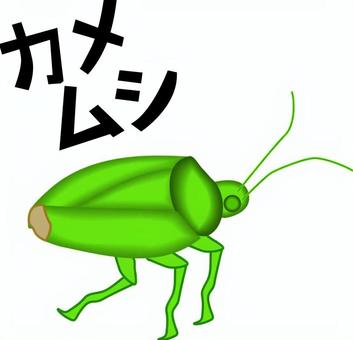 カメムシ   カメムシ   カメムシ,昆虫,悪臭,臭い,クサムシ,こき虫,横向き,カタカナのイラスト素材