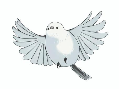 シマエナガ（飛ぶ） シマエナガ,鳥,動物,北海道,白,飛ぶのイラスト素材
