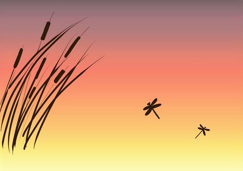 ガマの見える夕日 ガマ,トンボ,シルエット,夕日,秋,夕暮れ,背景のイラスト素材