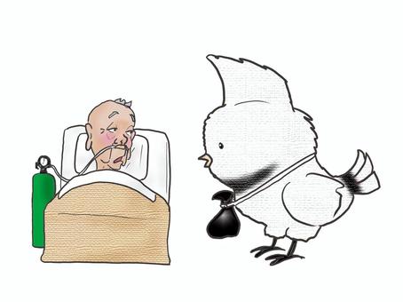 カラドリウス 動物,鳥,幻獣,カラドリウス,袋,人物,大人,男性,高齢者,おじいちゃんのイラスト素材