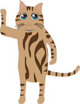 猫キャラ 猫,立ち上がる,かわいい,目,野良,ペット,尻尾,茶トラ,キャラのイラスト素材