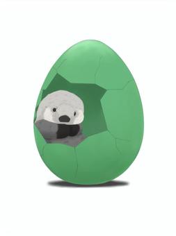 From the egg ..., JPG From the egg ..., sea otter, egg, baby, JPG