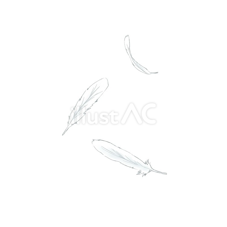 白い羽の素材 白い羽,白羽,羽のイラスト素材