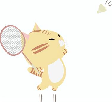 Badminton_Cat_Chatora, , JPG and PNG