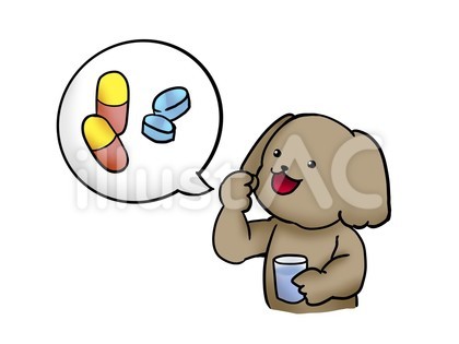 薬を飲む犬