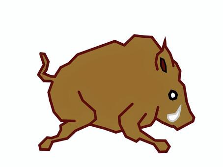 boar, , JPG and PNG