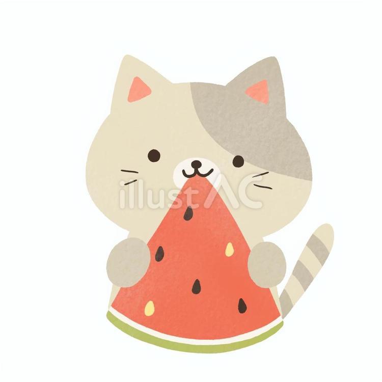 猫とスイカ スイカ,猫,果物のイラスト素材