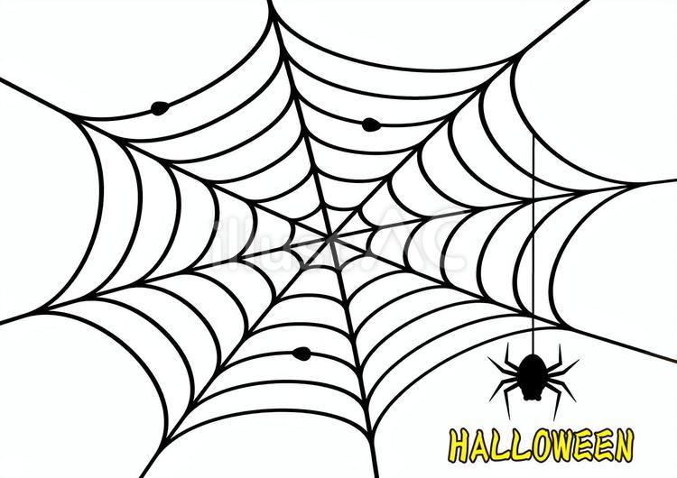蜘蛛の巣からクモが下がっているハロウィン 蜘蛛,クモ,ハロウィンのイラスト素材