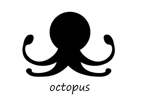 Illustration, octopus, a makhluk, mollusk, 