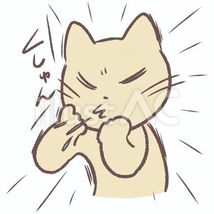 くしゃみをする猫