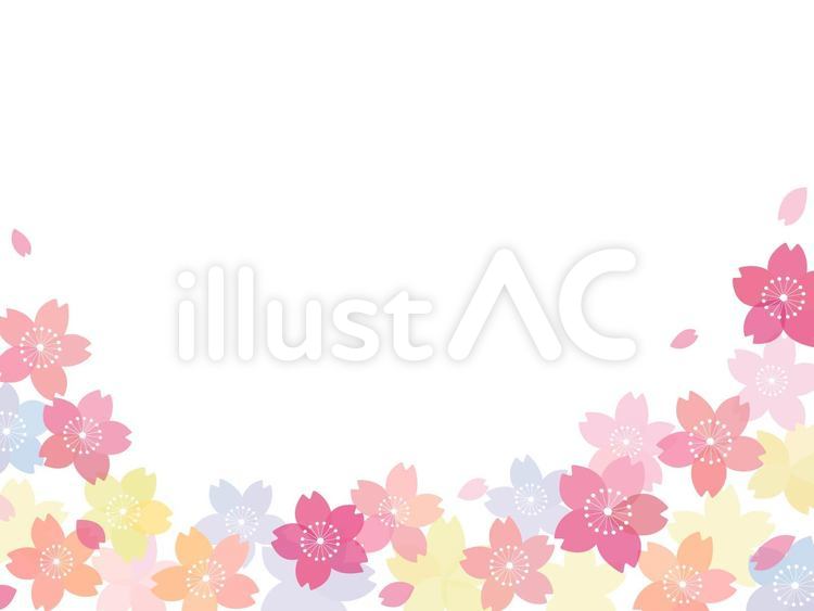 桜　和風背景 桜,和風,背景のイラスト素材