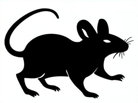 Illustration, a mouse, tikus tikus, mus musculus, 