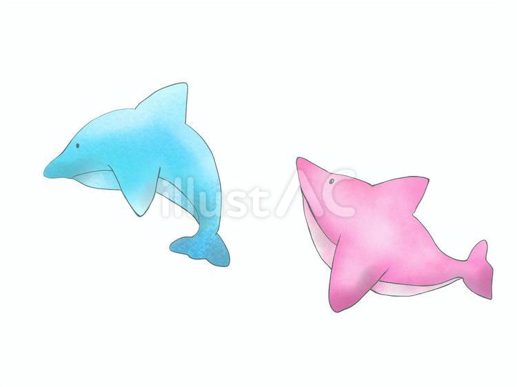 イルカ　　 イルカ,生き物,動物のイラスト素材