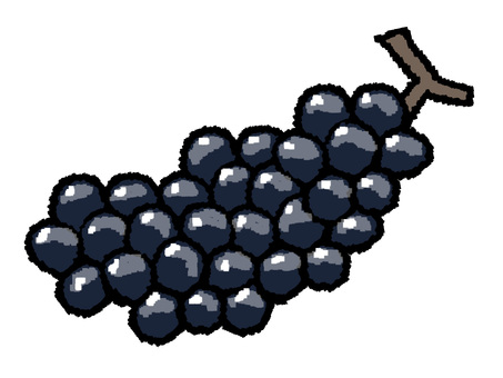 葡萄 葡萄,栽培,食べ物,pop調,手描き,挿絵,ワンポイント,素材,商用可,無料のイラスト素材